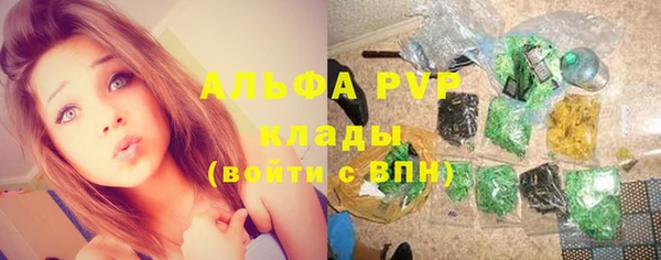 jwh Алзамай